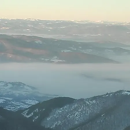 Presidentkop A208 Welnes &spa Apartment Kopaonik