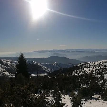 Presidentkop A208 Welnes &spa Kopaonik