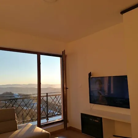 Presidentkop A208 Welnes &spa