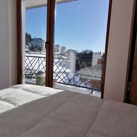 Presidentkop A208 Welnes &spa Apartment Kopaonik