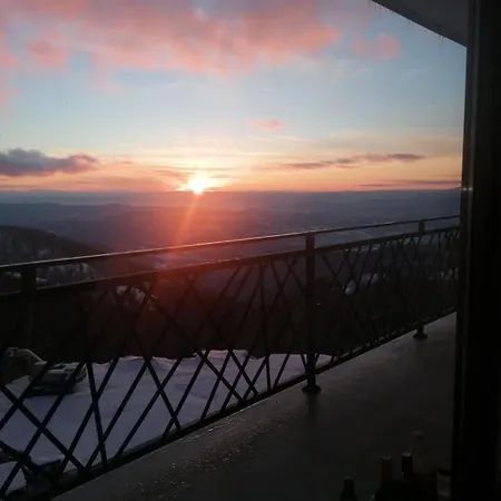 Presidentkop A208 Welnes &spa